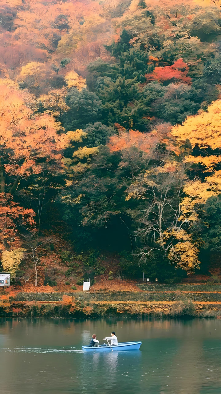 电影海报